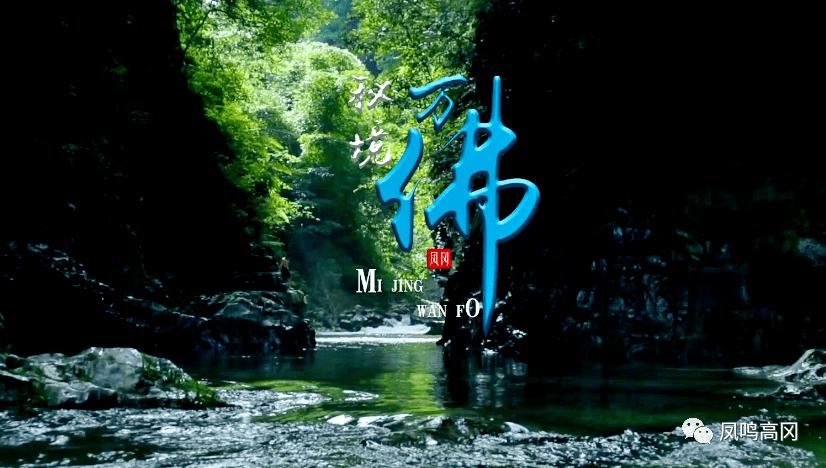 月光影视